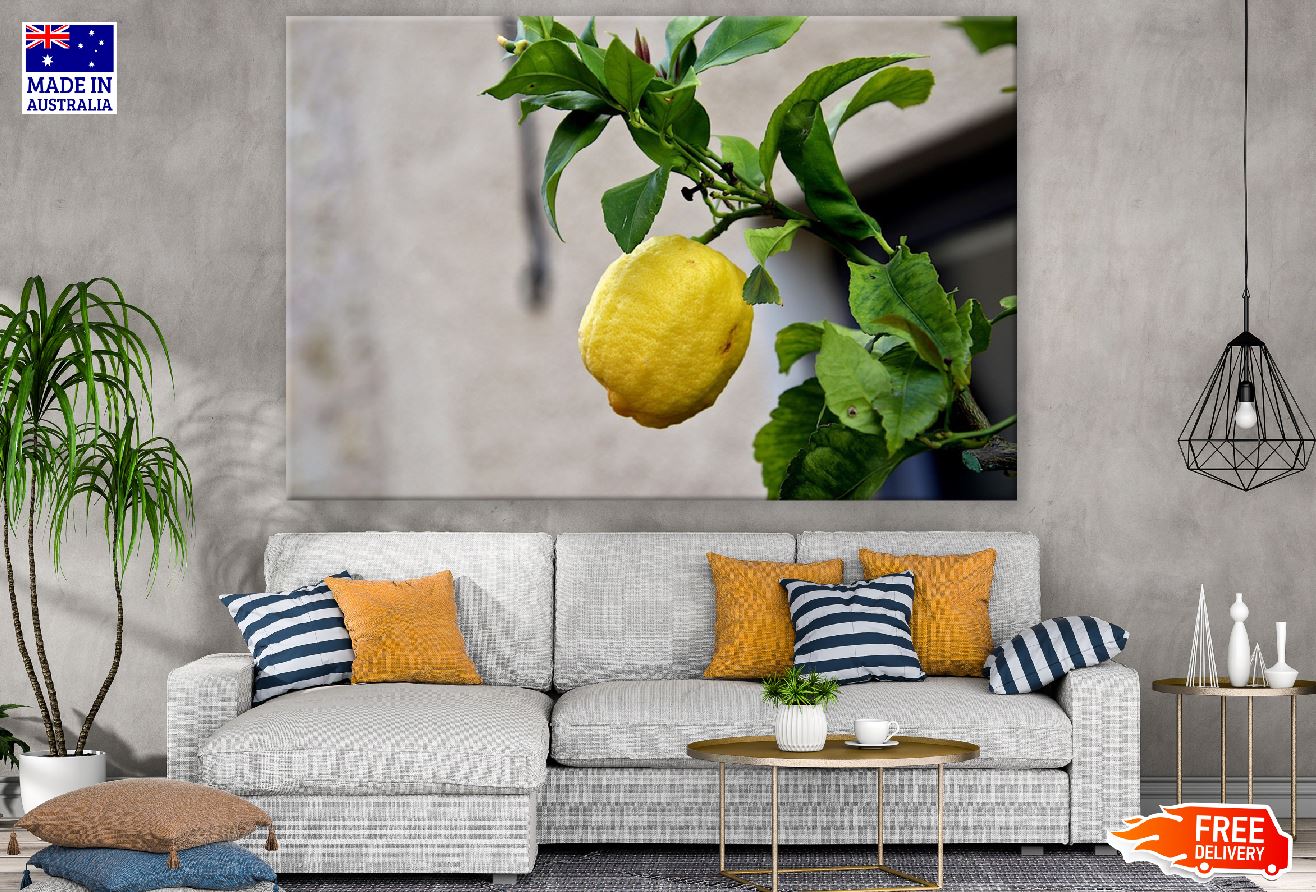 Lemon with Leaves Photograph Print 100% Australian Made