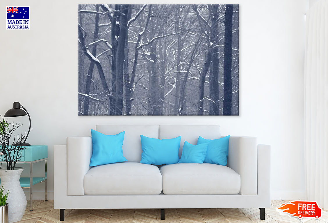 Snow Covered Misty Forest Photograph Print 100% Australian Made