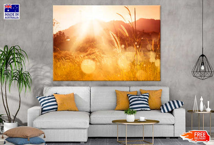 Summer Wheat Field Photograph Print 100% Australian Made