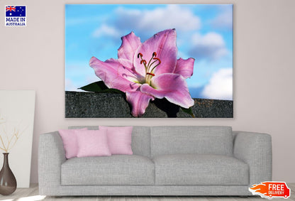 Pink Lily Flower Under Blue Sky Photograph Print 100% Australian Made