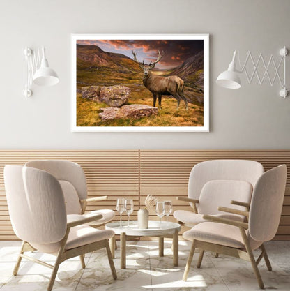 Deers on a Hill Steep Photograph Home Decor Premium Quality Poster Print Choose Your Sizes