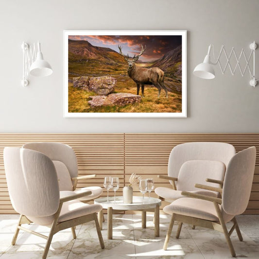 Deers on a Hill Steep Photograph Home Decor Premium Quality Poster Print Choose Your Sizes