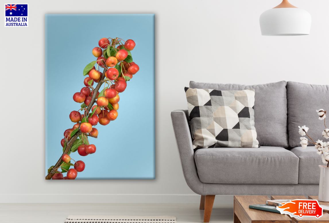 Fresh Coffee Beans Plant Photograph Print 100% Australian Made