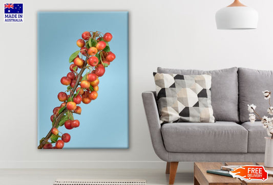Fresh Coffee Beans Plant Photograph Print 100% Australian Made