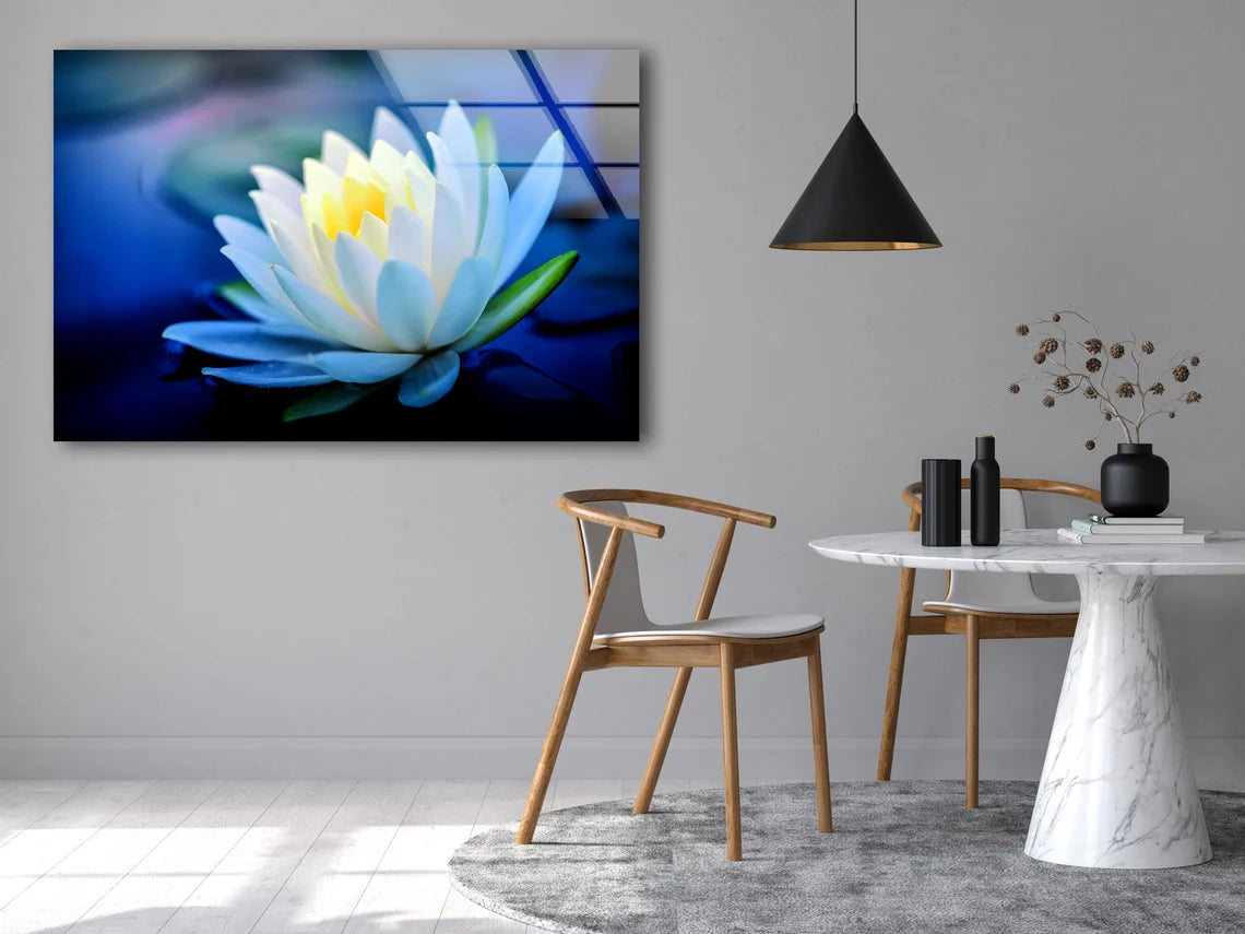 White Flower Closeup Photograph Acrylic Glass Print Tempered Glass Wall Art 100% Made in Australia Ready to Hang