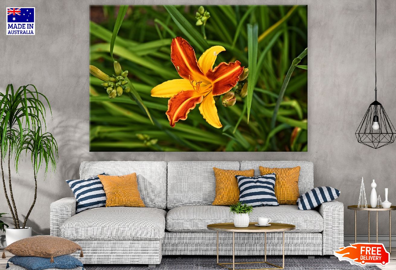 Yellow Orange Lily Flower with Leaves Photograph Print 100% Australian Made