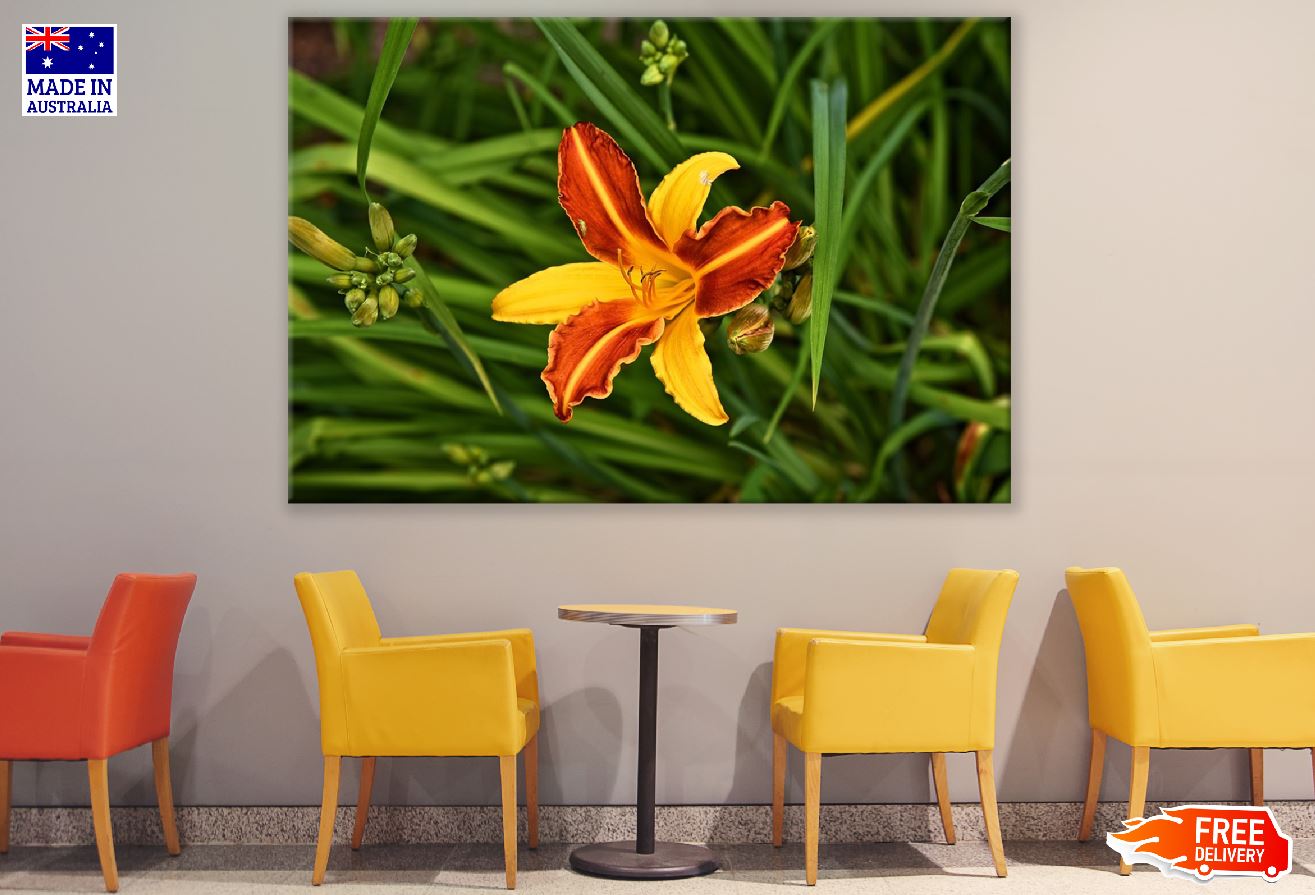 Yellow Orange Lily Flower with Leaves Photograph Print 100% Australian Made