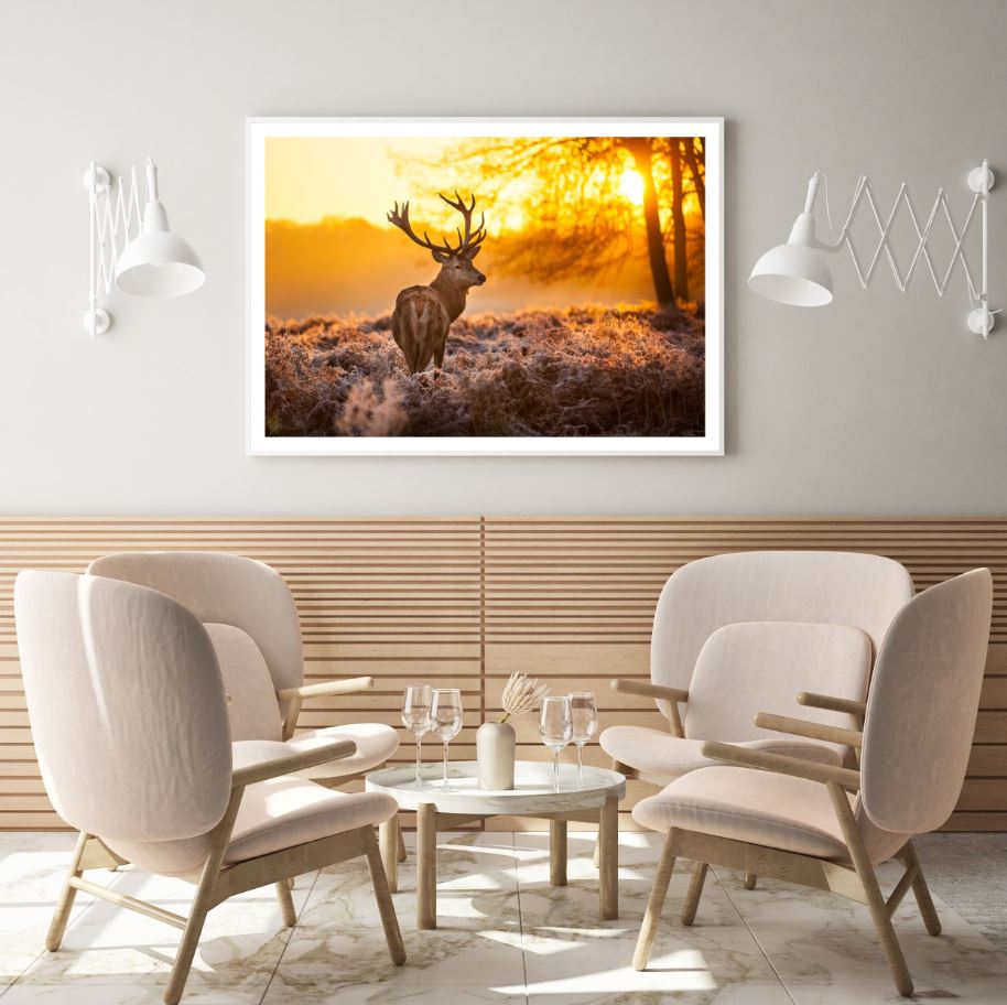 Deer in Flower Field at Sunset Photograph Home Decor Premium Quality Poster Print Choose Your Sizes