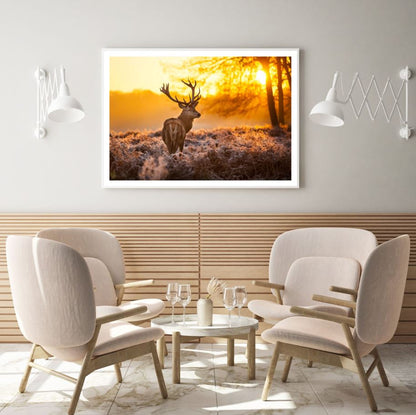 Deer in Flower Field at Sunset Photograph Home Decor Premium Quality Poster Print Choose Your Sizes