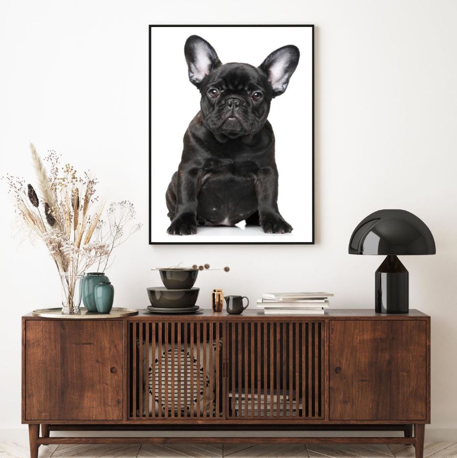 Owl Face Portrait Photograph Home Decor Premium Quality Poster Print Choose Your Sizes