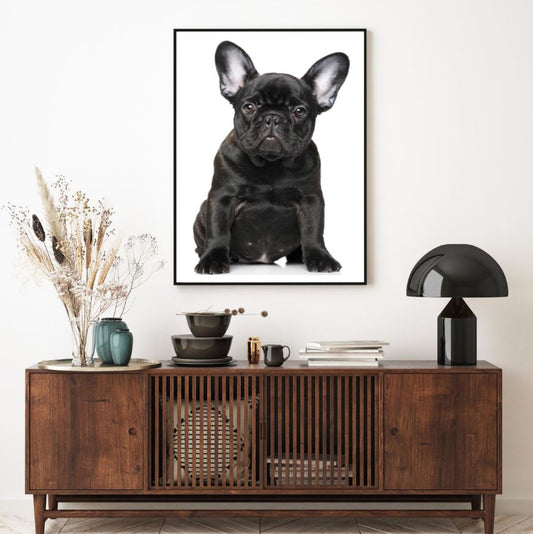 Owl Face Portrait Photograph Home Decor Premium Quality Poster Print Choose Your Sizes