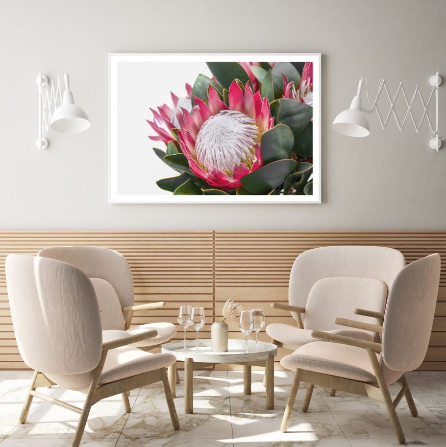 Flower Closeup Photograph Home Decor Premium Quality Poster Print Choose Your Sizes