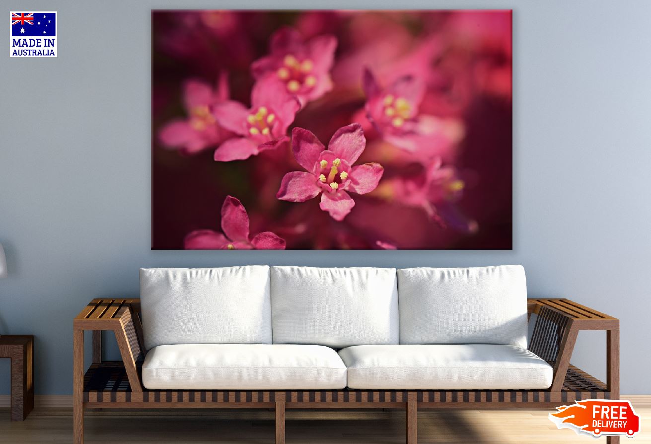 Red Blossom Flower Closeup Photograph Print 100% Australian Made