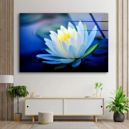 White Flower Closeup Photograph Acrylic Glass Print Tempered Glass Wall Art 100% Made in Australia Ready to Hang