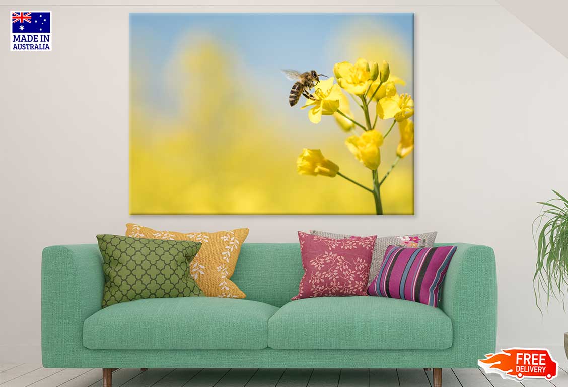 Bee on Yellow Flower Plant View Photograph Print 100% Australian Made