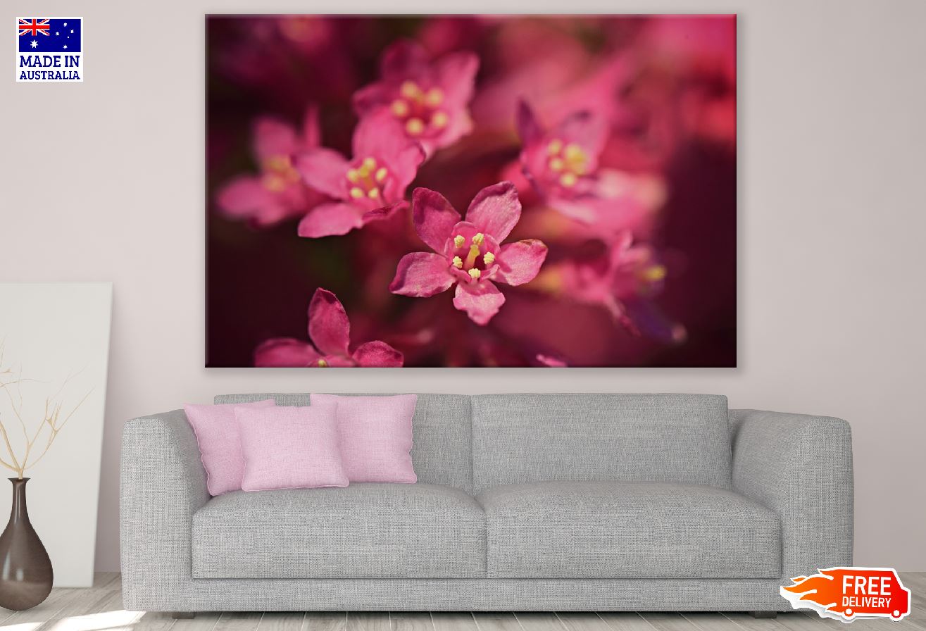 Red Blossom Flower Closeup Photograph Print 100% Australian Made
