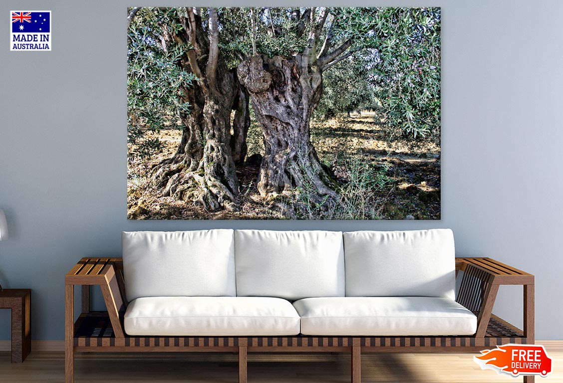 Tree Closeup Photograph Print 100% Australian Made