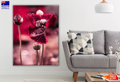 Red Flower Closeup Photograph Print 100% Australian Made