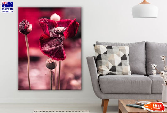 Red Flower Closeup Photograph Print 100% Australian Made