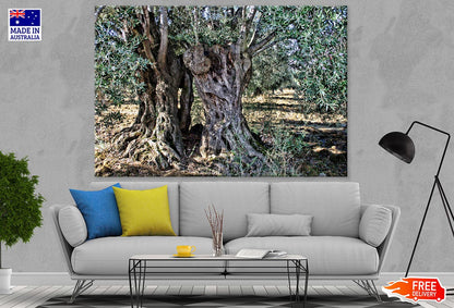 Tree Closeup Photograph Print 100% Australian Made