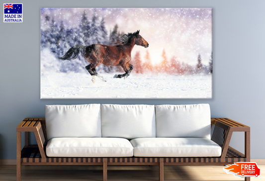 Brown Horse Running on Snow Print 100% Australian Made