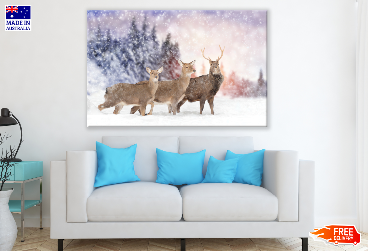 Deer Family On Snow Ground Print 100% Australian Made