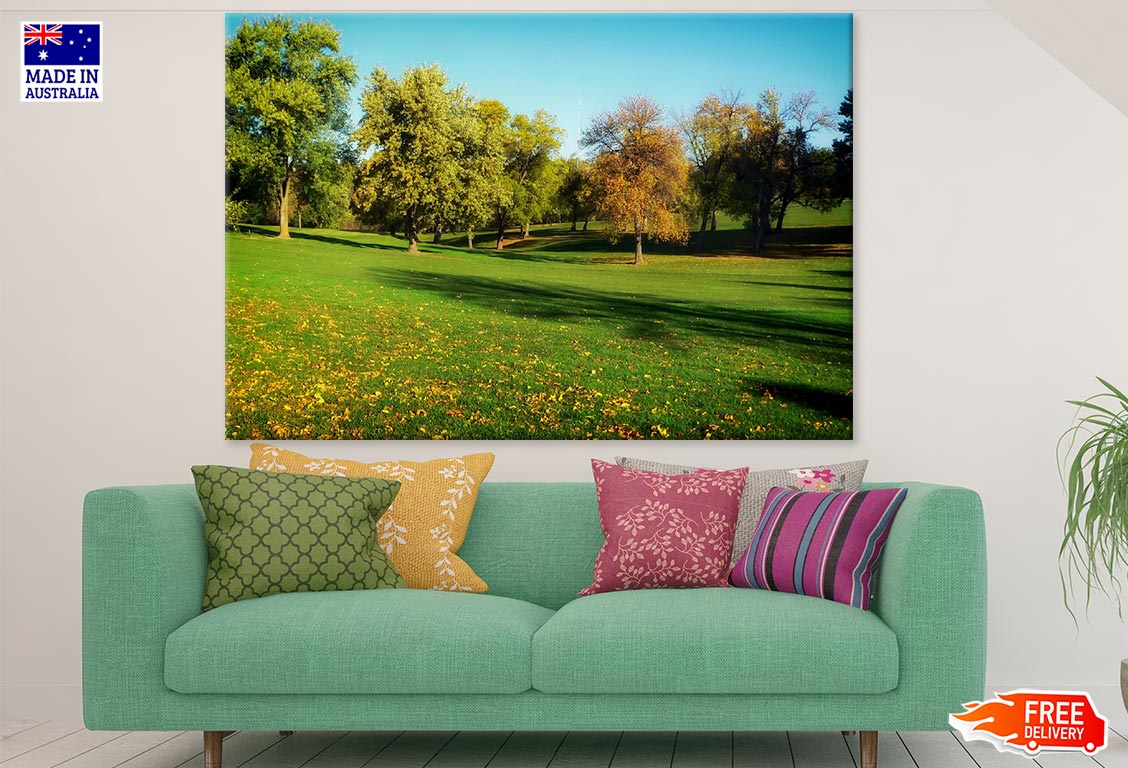 Colorful Trees on Meadow Photograph Print 100% Australian Made