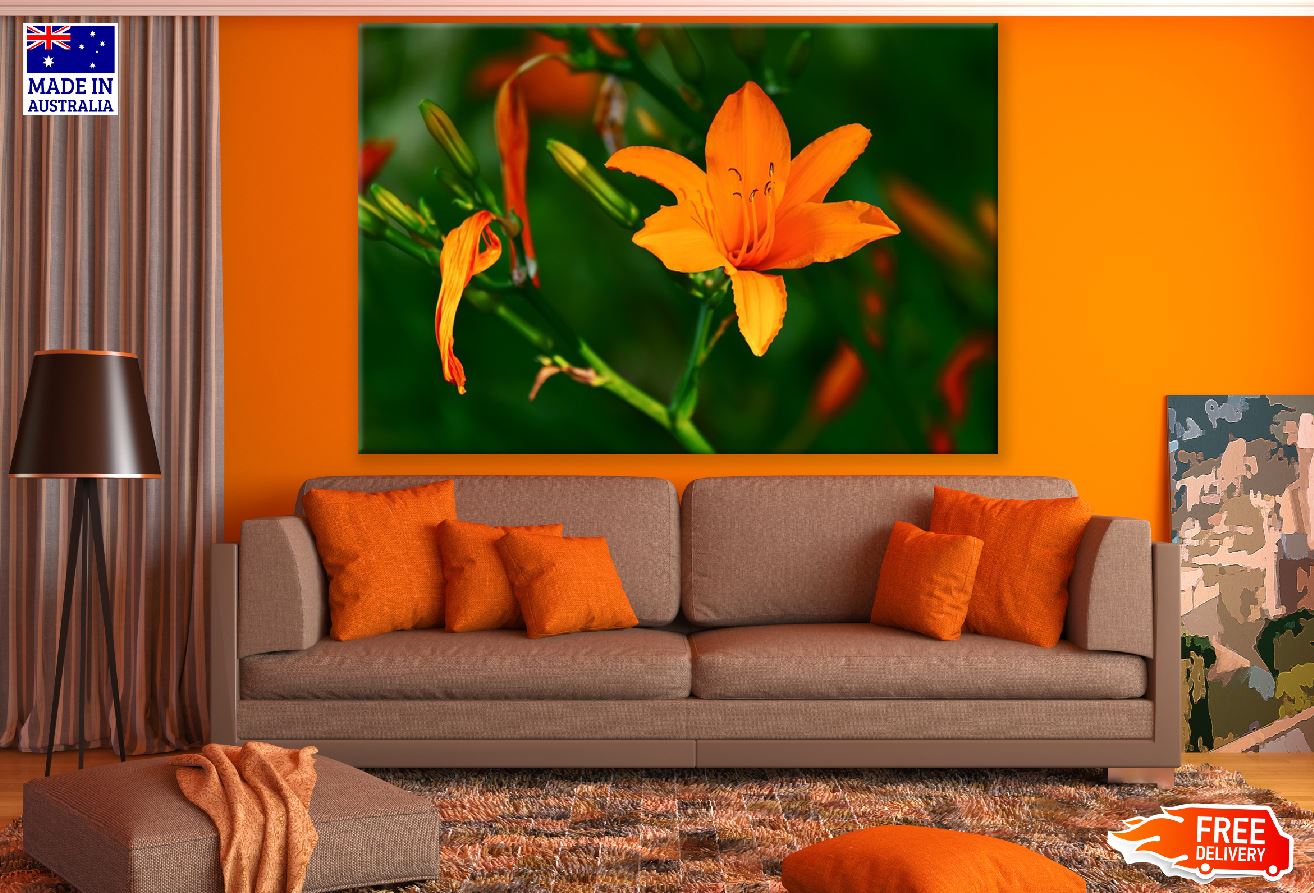 Orange Lily Flower Closeup Photograph Print 100% Australian Made