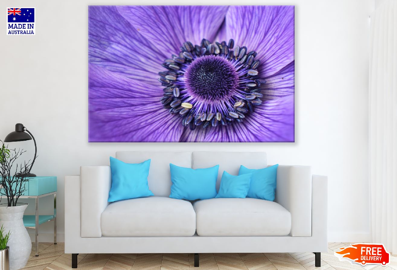 Purple Daisy Flower Macro Photograph Print 100% Australian Made