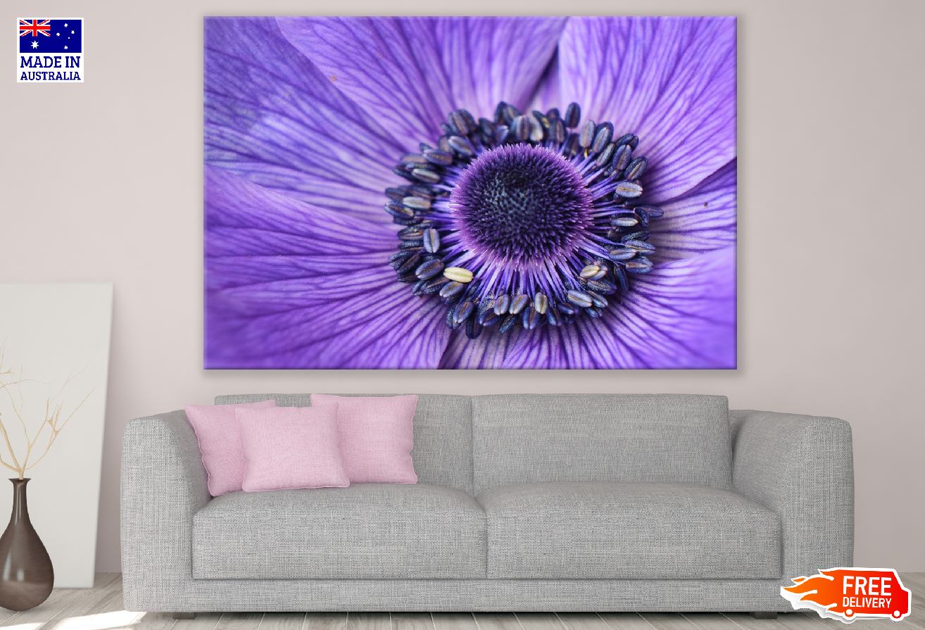 Purple Daisy Flower Macro Photograph Print 100% Australian Made