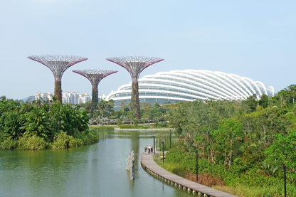 Gardens by the Bay Nature Park Photograph, Singapore Print 100% Australian Made
