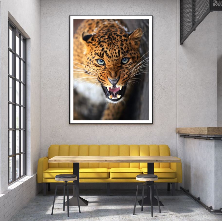 Leopard Portrait Photograph Home Decor Premium Quality Poster Print Choose Your Sizes