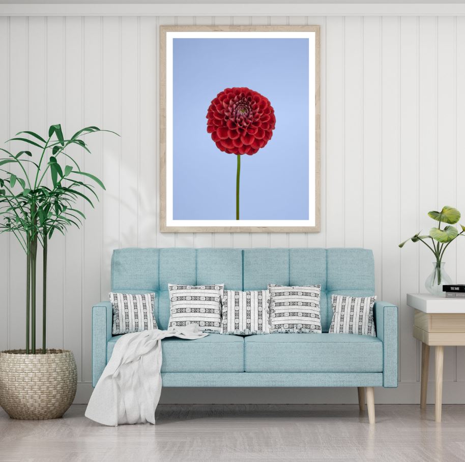 Flower Closeup Photograph Home Decor Premium Quality Poster Print Choose Your Sizes