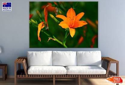 Orange Lily Flower Closeup Photograph Print 100% Australian Made