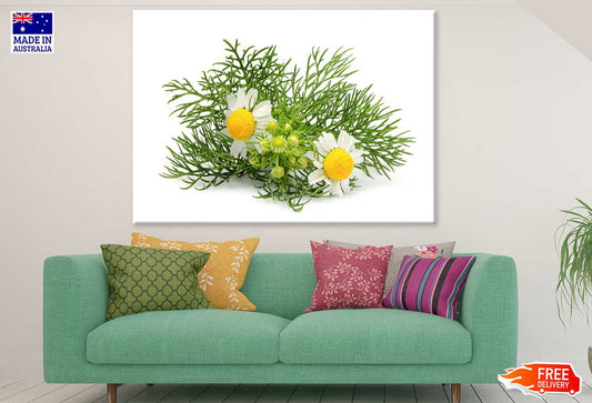 German Chamomile Plant Photograph Print 100% Australian Made