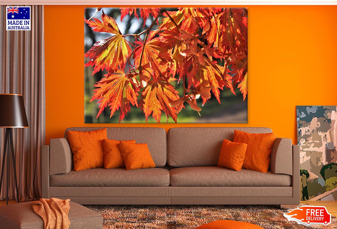 Orange Leaves Closeup Photograph Print 100% Australian Made