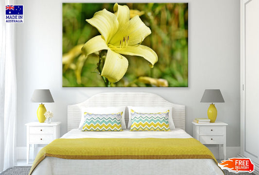 Yellow Lily Flower Closeup Photograph Print 100% Australian Made