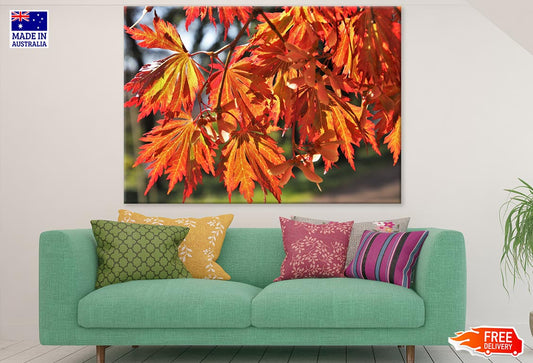 Orange Leaves Closeup Photograph Print 100% Australian Made