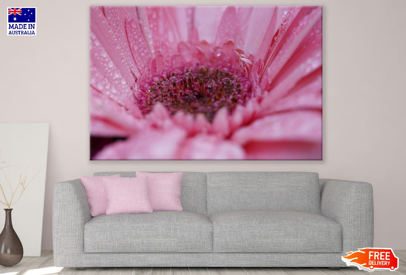 Gerbera Flower Closeup Macro Photograph Print 100% Australian Made