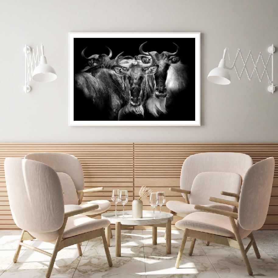 Elks Portrait B&W Photograph Home Decor Premium Quality Poster Print Choose Your Sizes