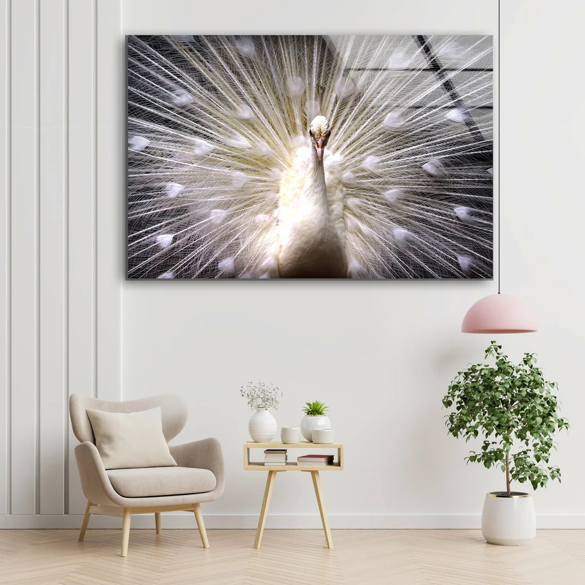 White Peacock Bird Closeup Photograph Acrylic Glass Print Tempered Glass Wall Art 100% Made in Australia Ready to Hang