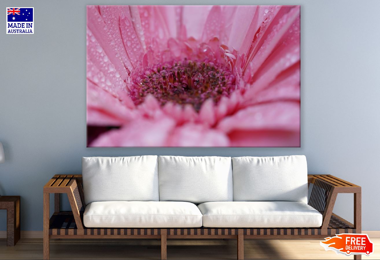 Gerbera Flower Closeup Macro Photograph Print 100% Australian Made