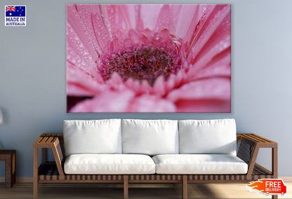 Gerbera Flower Closeup Macro Photograph Print 100% Australian Made