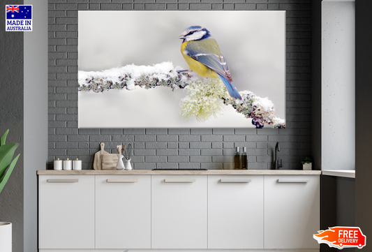 Blue Tit Bird On a Snowy Branch Photograph Print 100% Australian Made