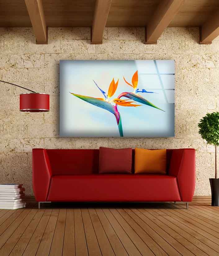 Colorful Flower Closeup Photograph Acrylic Glass Print Tempered Glass Wall Art 100% Made in Australia Ready to Hang