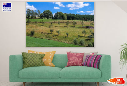 Trees on Hill in Shrubland Photograph Print 100% Australian Made