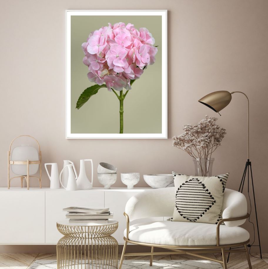 Flower Closeup Photograph Home Decor Premium Quality Poster Print Choose Your Sizes
