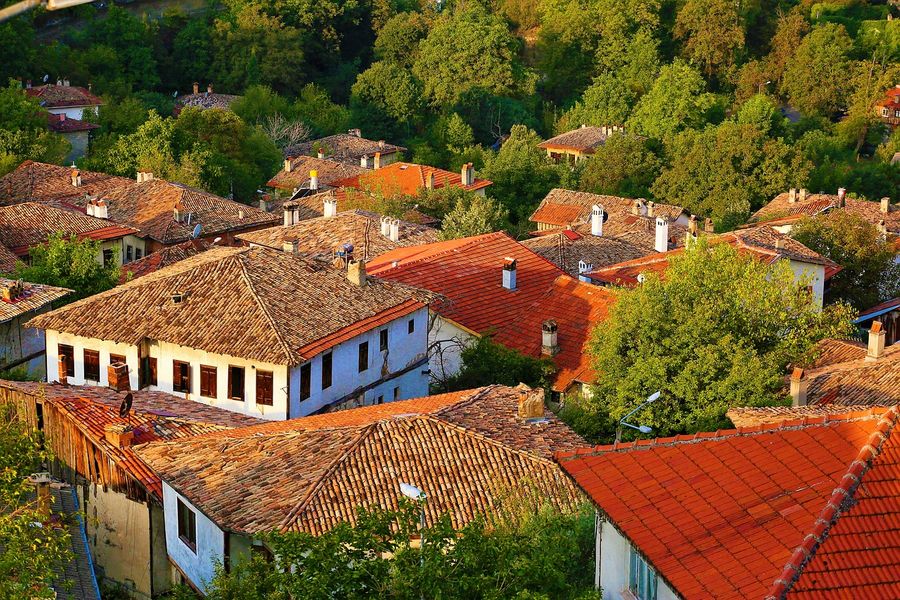 Architectural Roof Houses Photograph Print 100% Australian Made