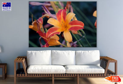 Yellow Orange Lily Flower Closeup Photograph Print 100% Australian Made