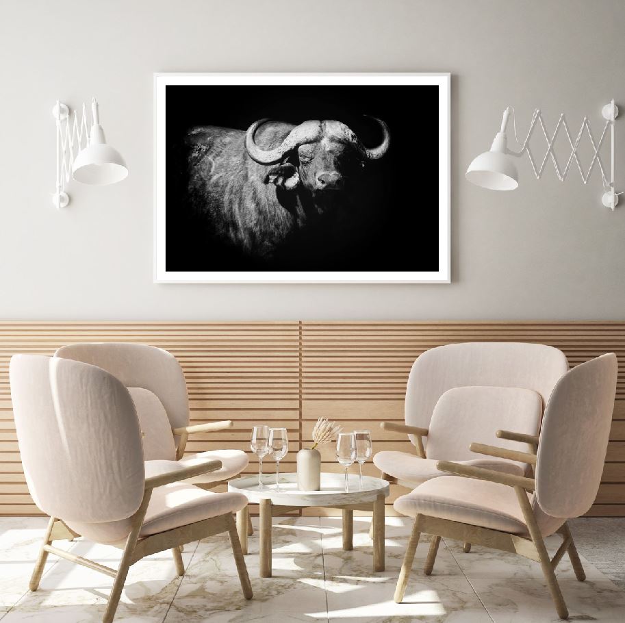 Buffalo Portrait B&W Photograph Home Decor Premium Quality Poster Print Choose Your Sizes